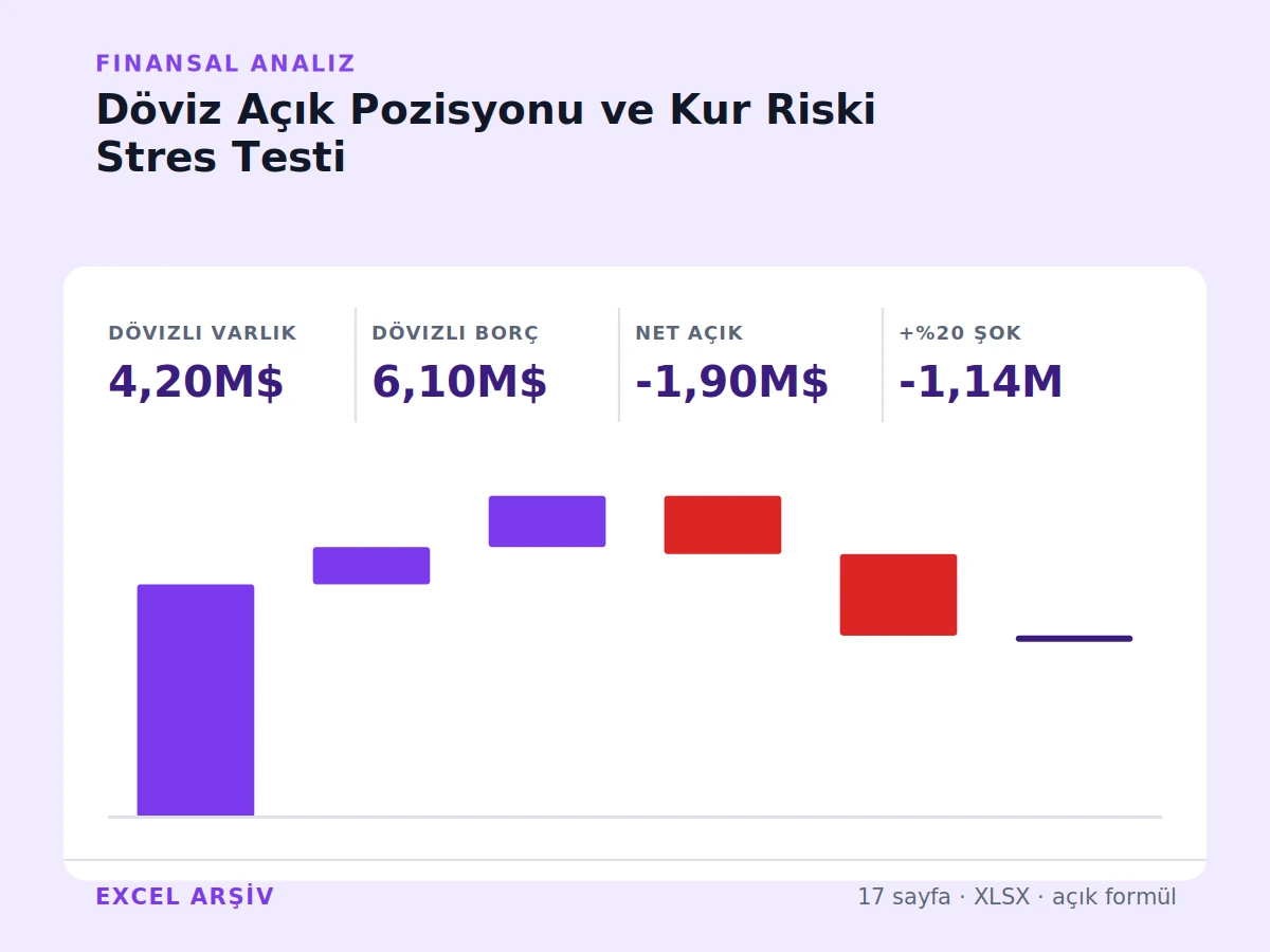 Döviz Açık Pozisyonu ve Kur Riski Stres Testi ürün görseli