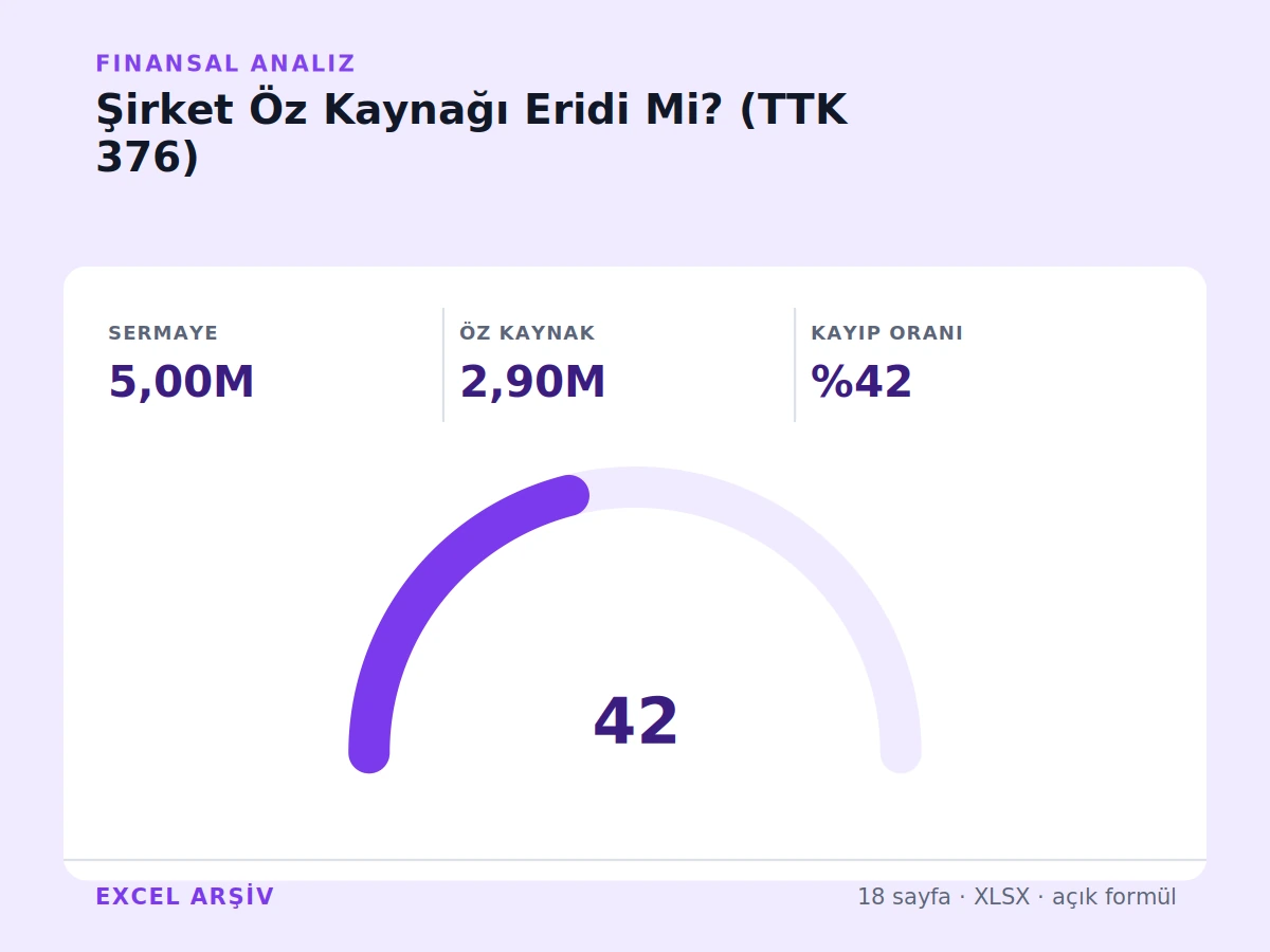 Şirket Öz Kaynağı Eridi Mi? (TTK 376 Sermaye Tamamlama Cetveli) ürün görseli